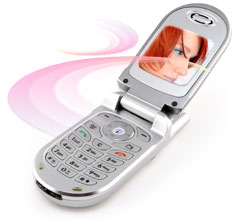 Contact